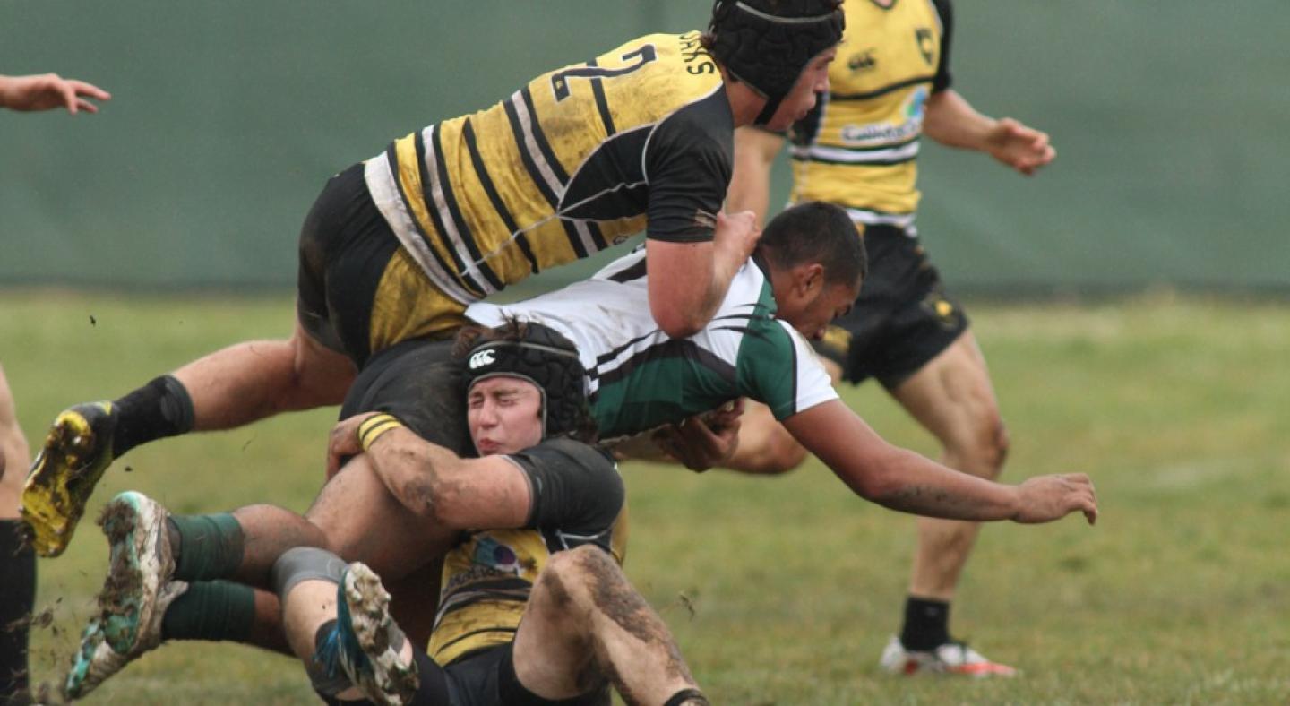 danville pg pacificcup pat conrad benhoffmanontopkevinsaunders below 0