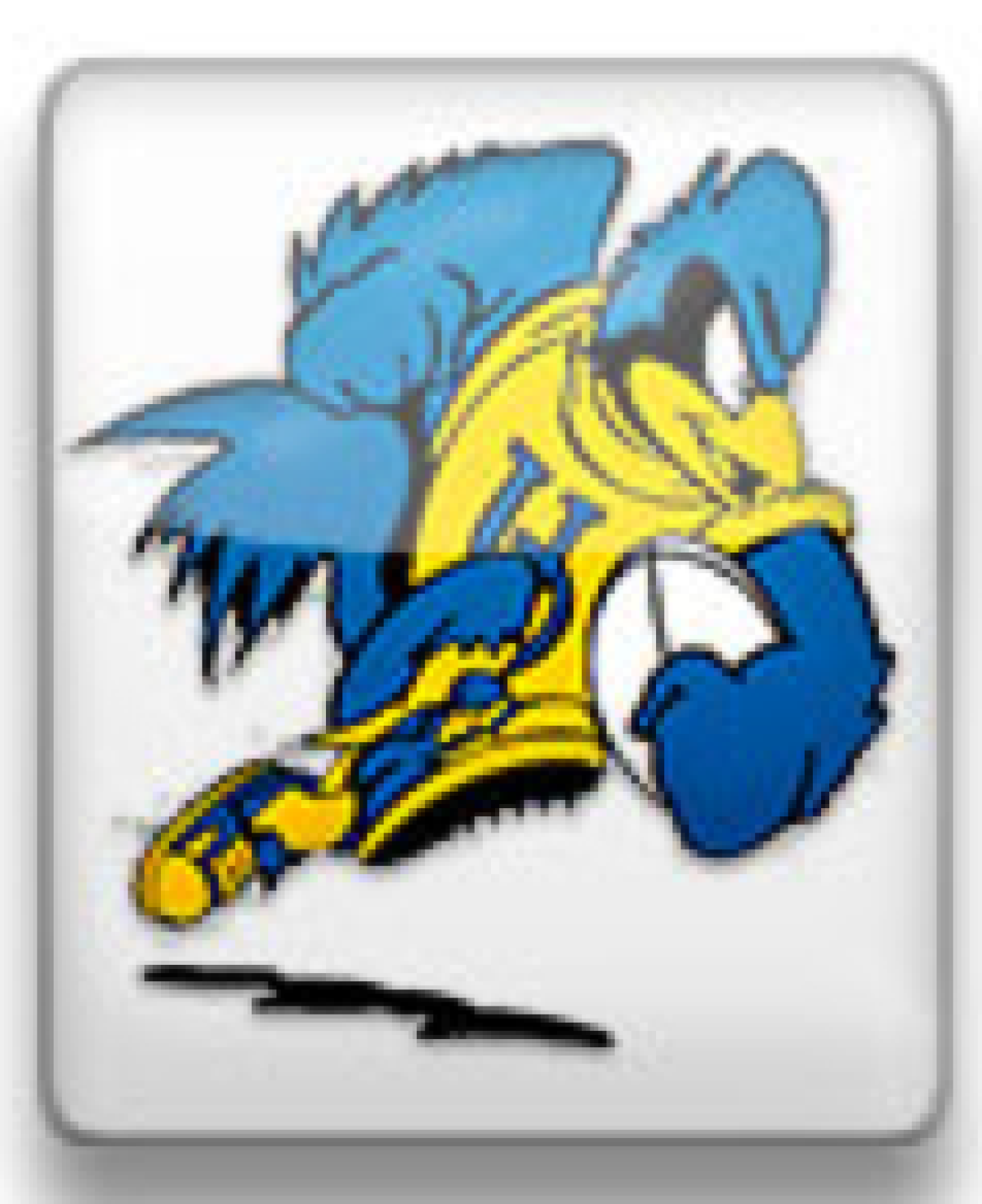 delawarerugbylogo