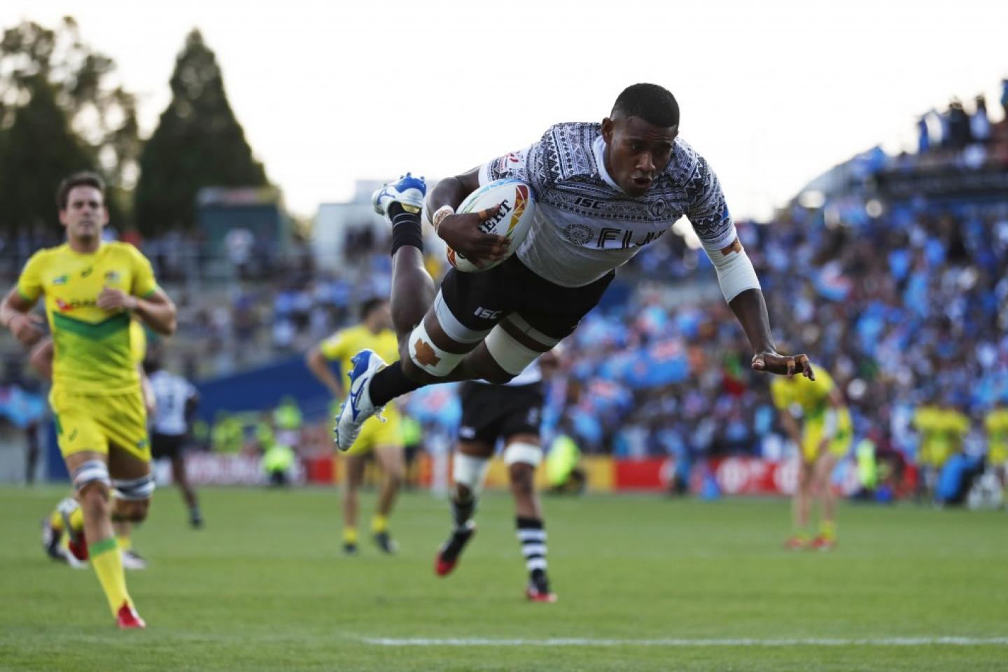 fiji flies hamilton mike lee