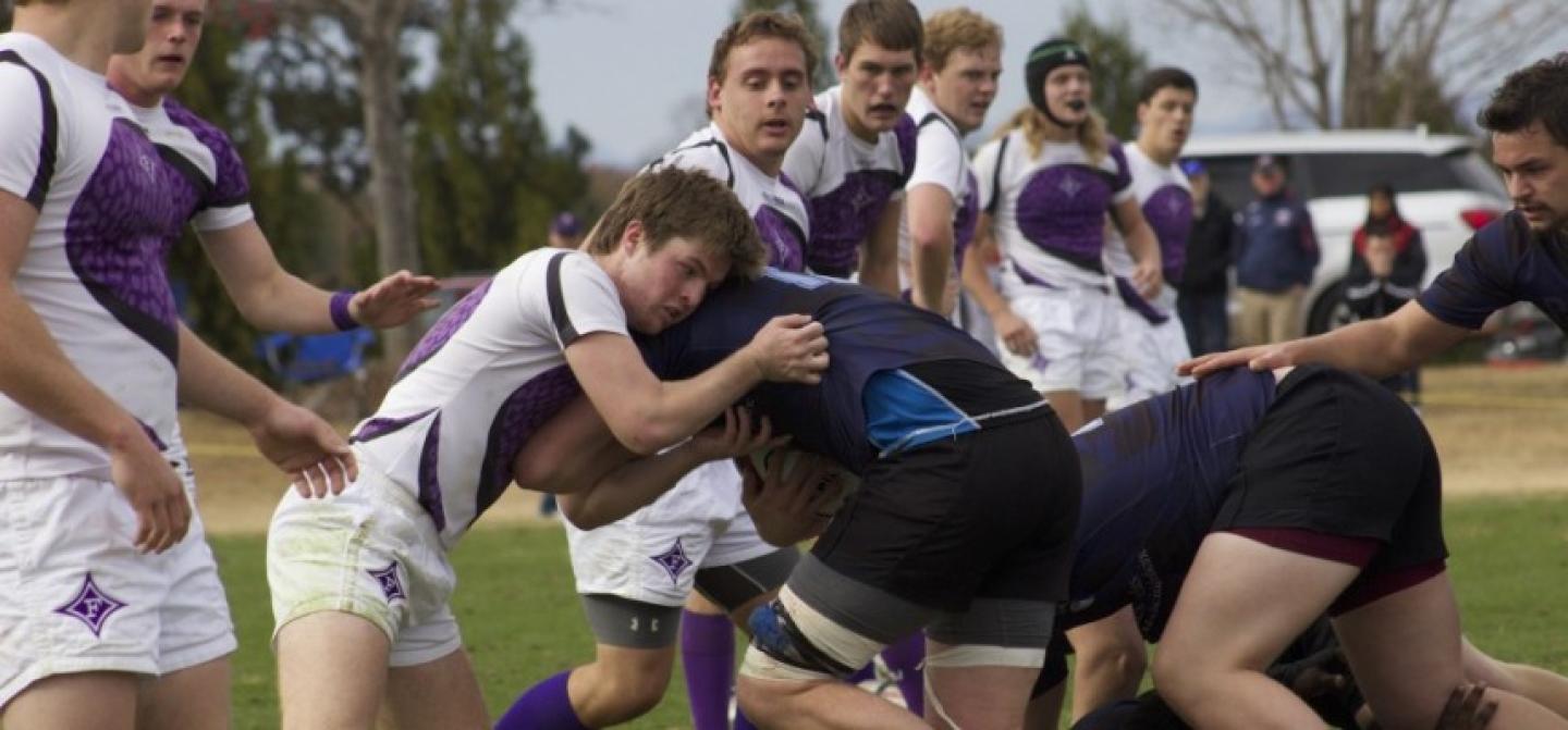 furmanvumd 2016 sophie harris 1 0