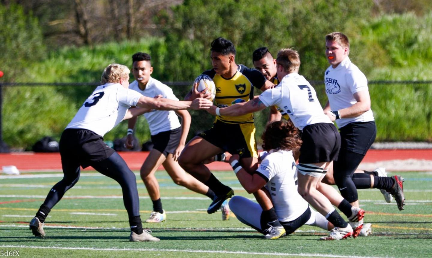 granitebay 2016 v danville dan bandoni 5 0