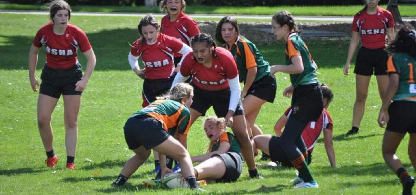 green bay v dsha