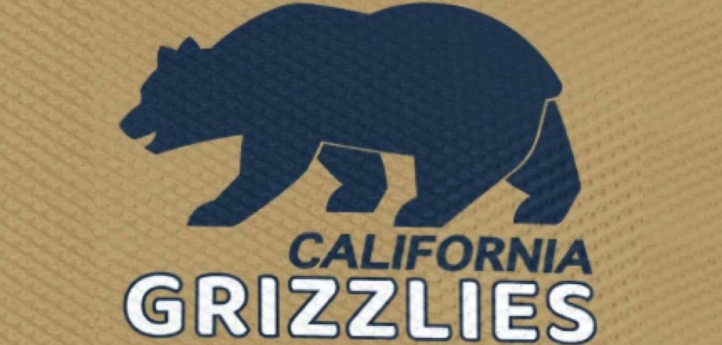 grizzliy bear