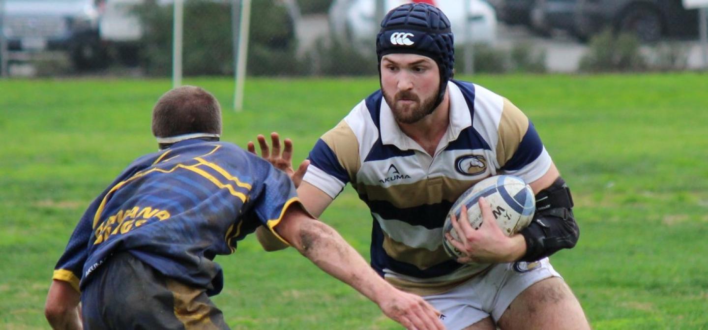 hw ucd vs ucsc 2024