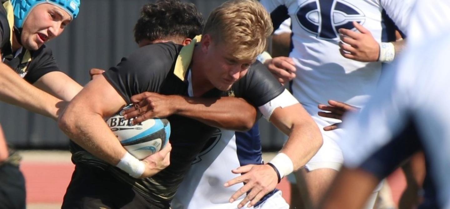 krige lindenwood todd lunow 3