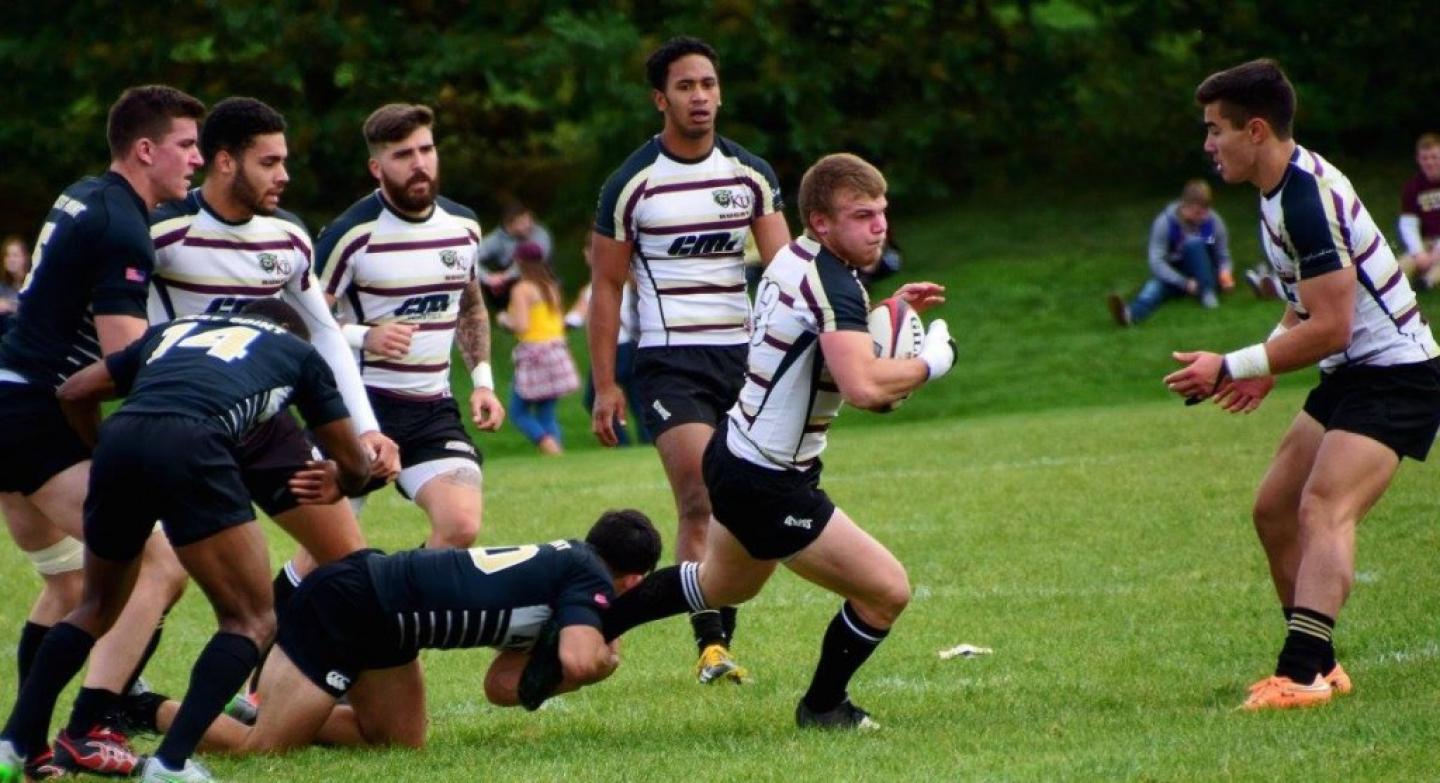 kutztownvarmy stortz 1