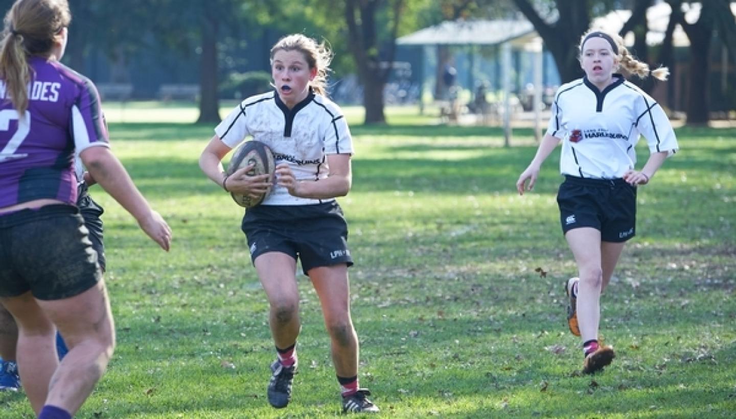 landparkharlequins2017 1