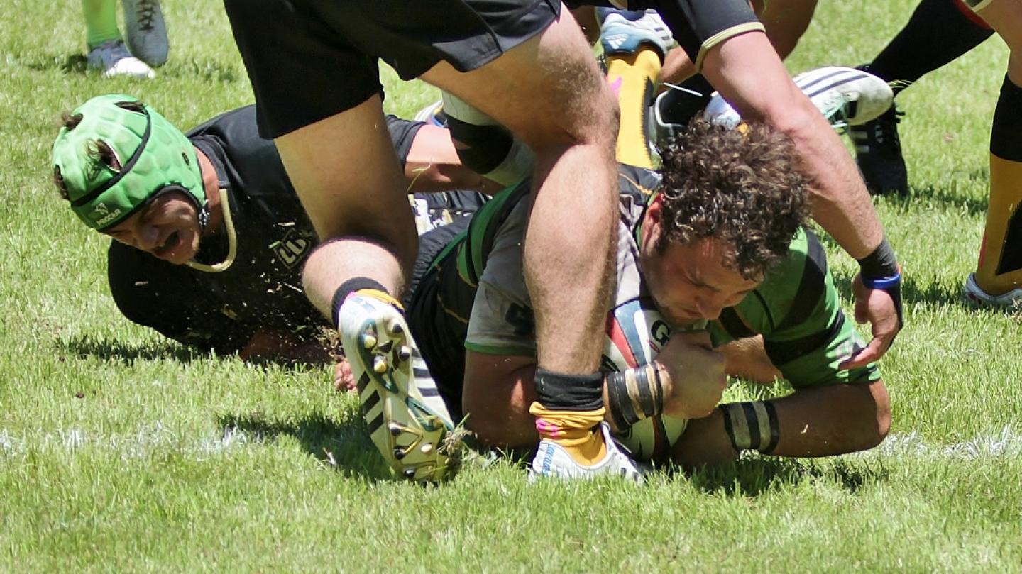 lifevlindenwood doctorhawkphoto 4