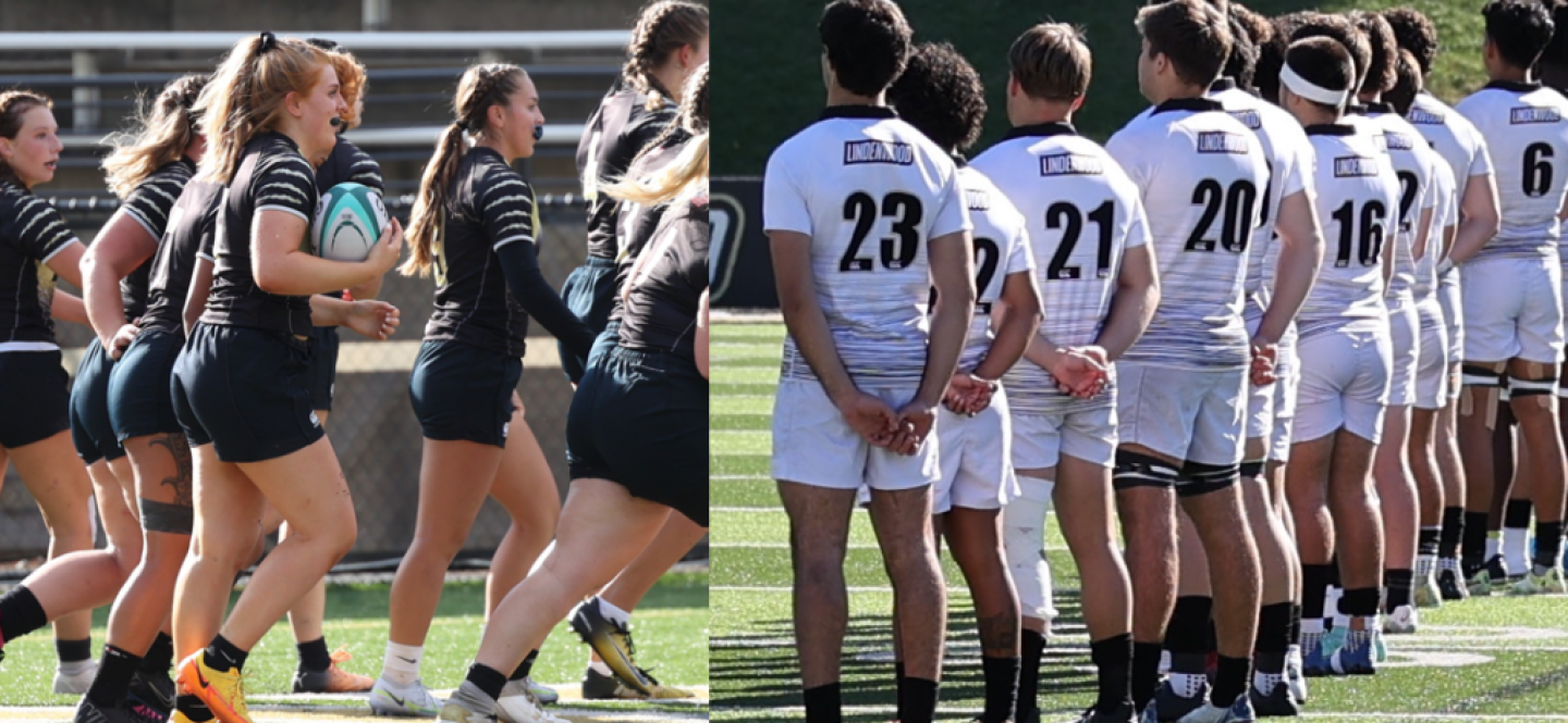lindenwood combo