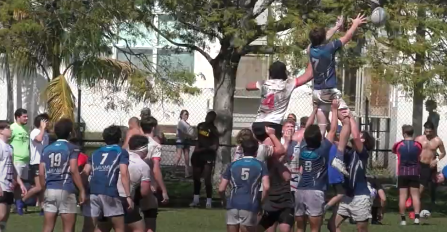 lineout key biscayne vs okapi