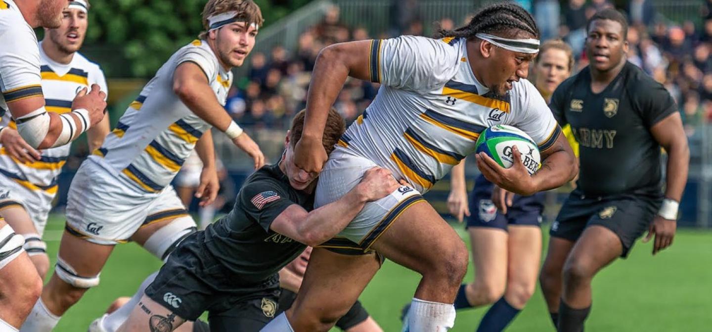 lone toailoa for cal 2020 guy warren photo lone toailoa for cal 2020 guy warren photo