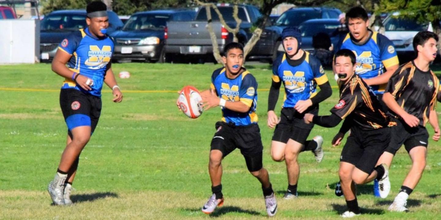 miramesa2017 3