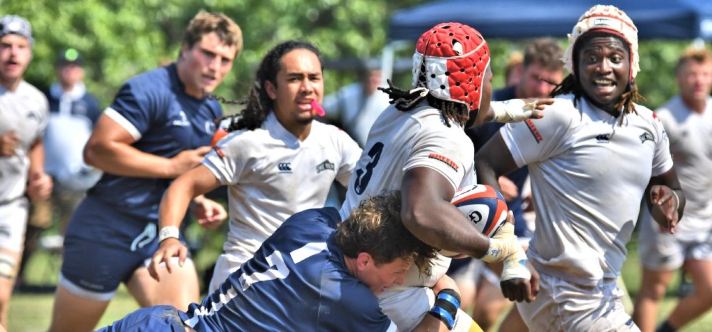 msmv psu 2024 david hughes 2741