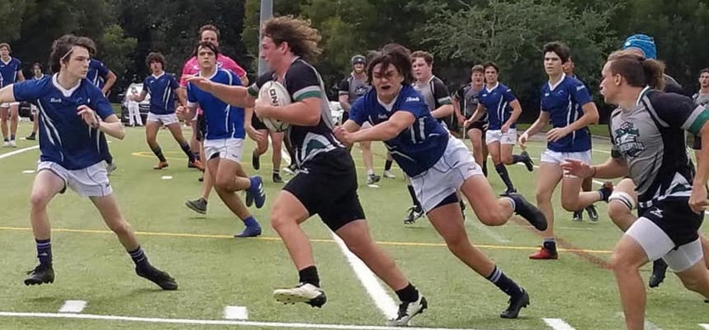naples hammerheads 2021 2