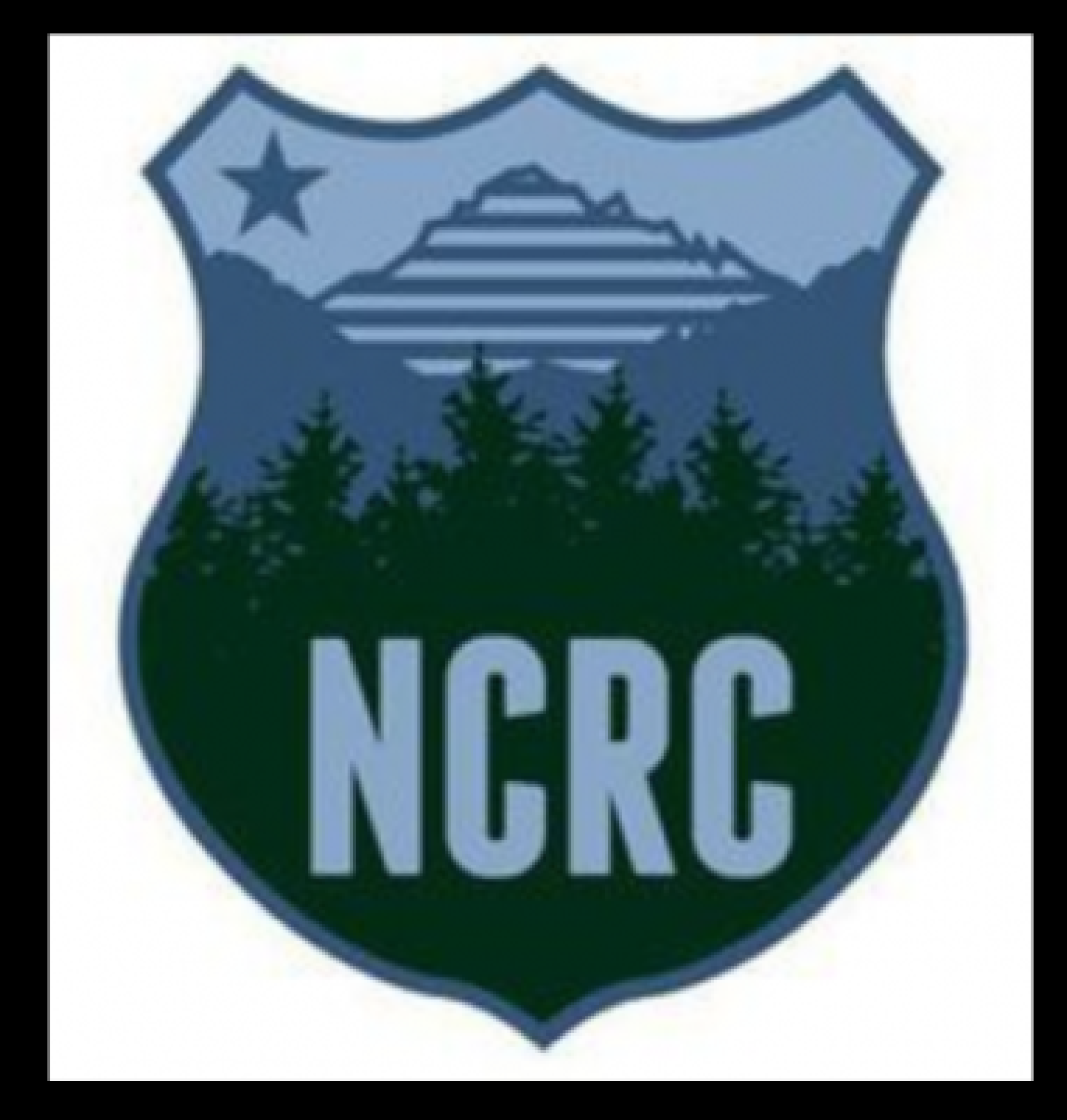 ncrclogo 1