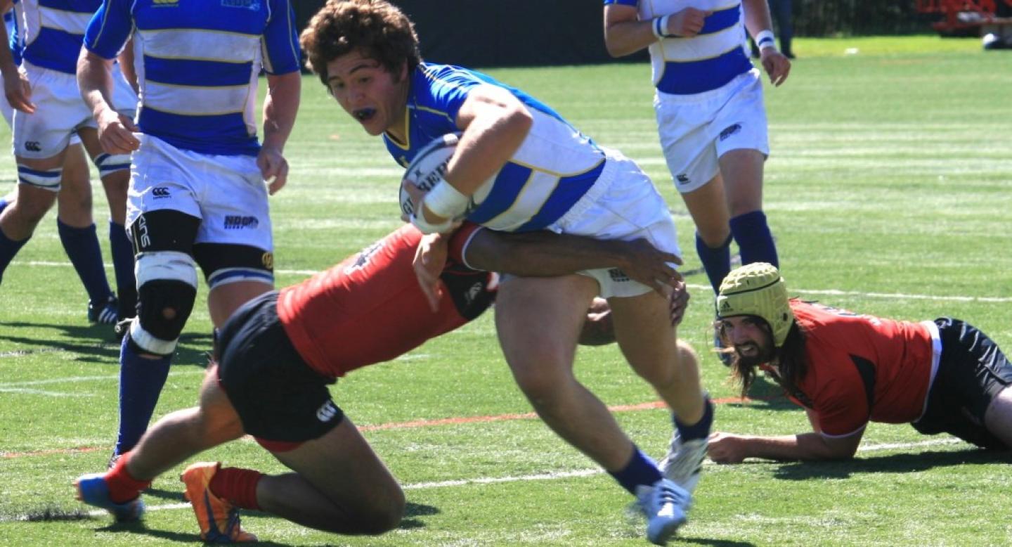 ndc andrew guerra