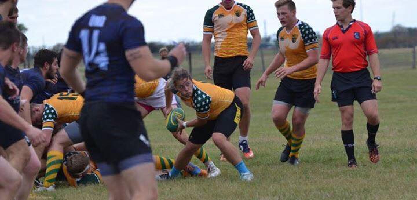 ndsu umd 2017 1 0