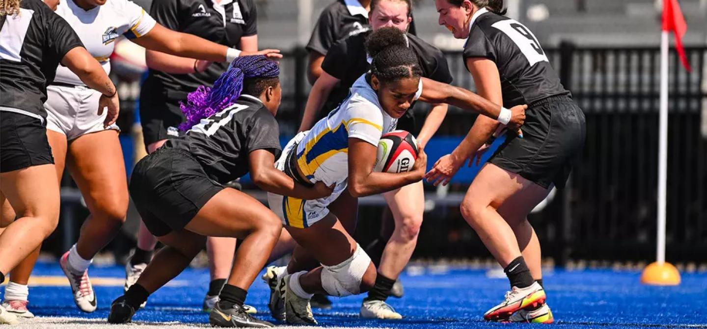 new haven vs west chester 2024 unh athletics