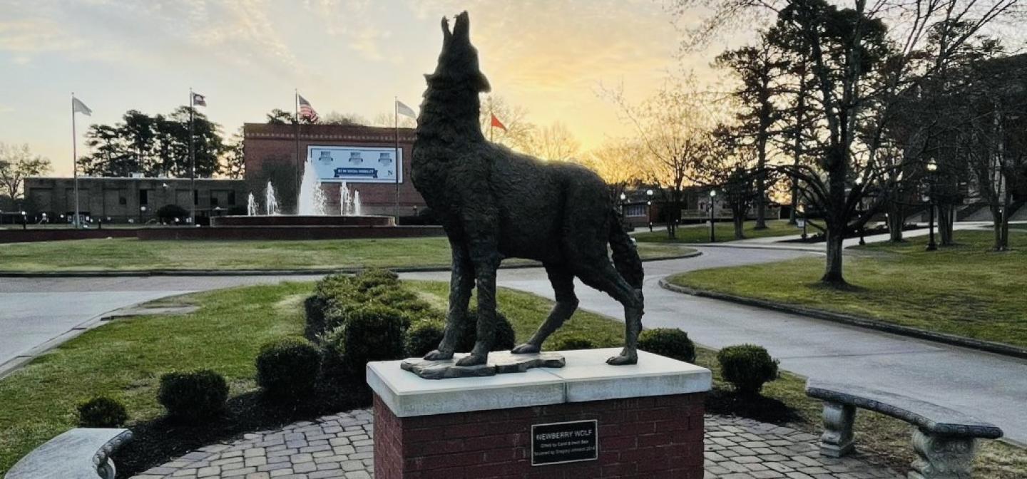 newberry wolf