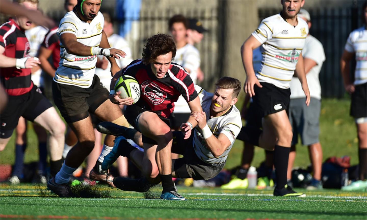 noah niu sju 2016