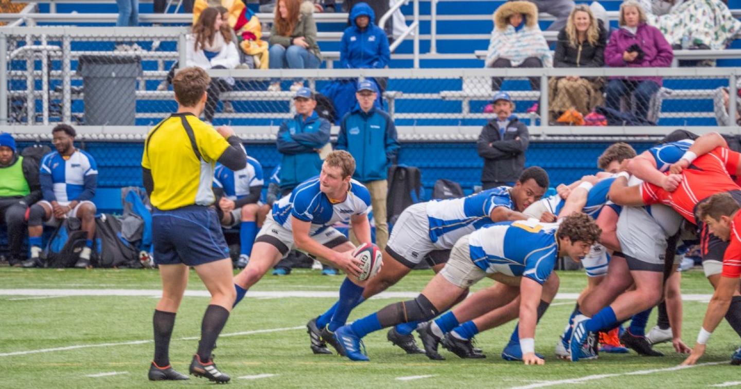 notre dame college vs davenport 2019 allison bradfield 4