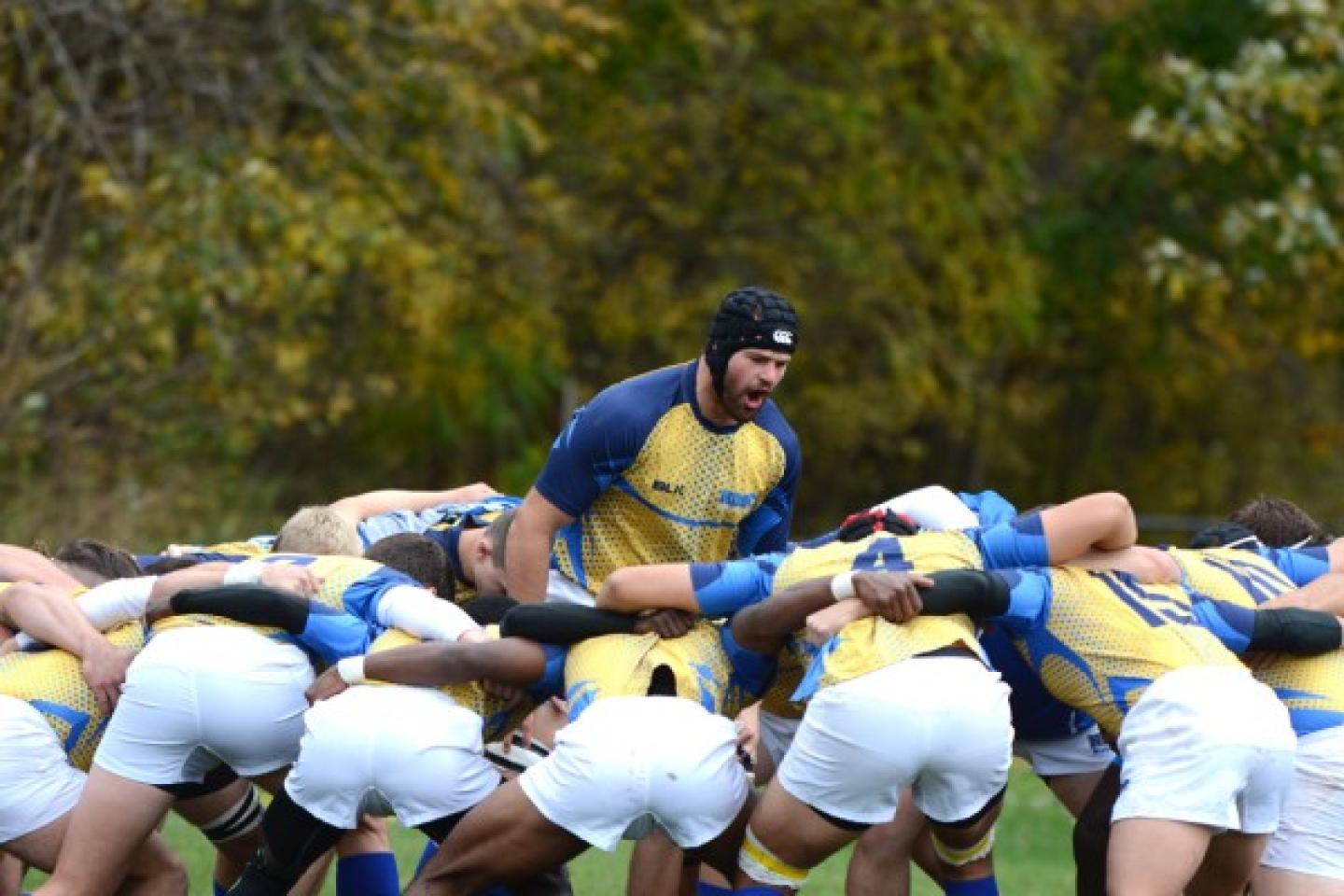 notredamecollegefalconshuddle