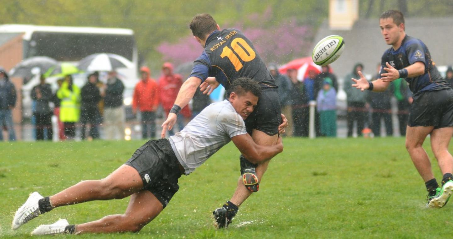 pennvroyalirish tamra tidey 1