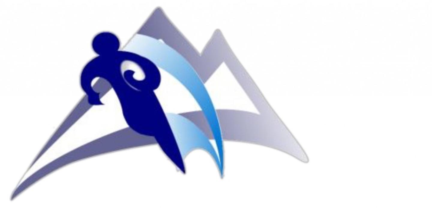 rmc logo 2