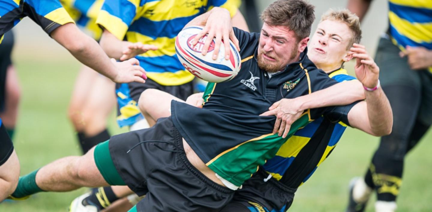 sierrafoothills KOT2015 1 barpal 0