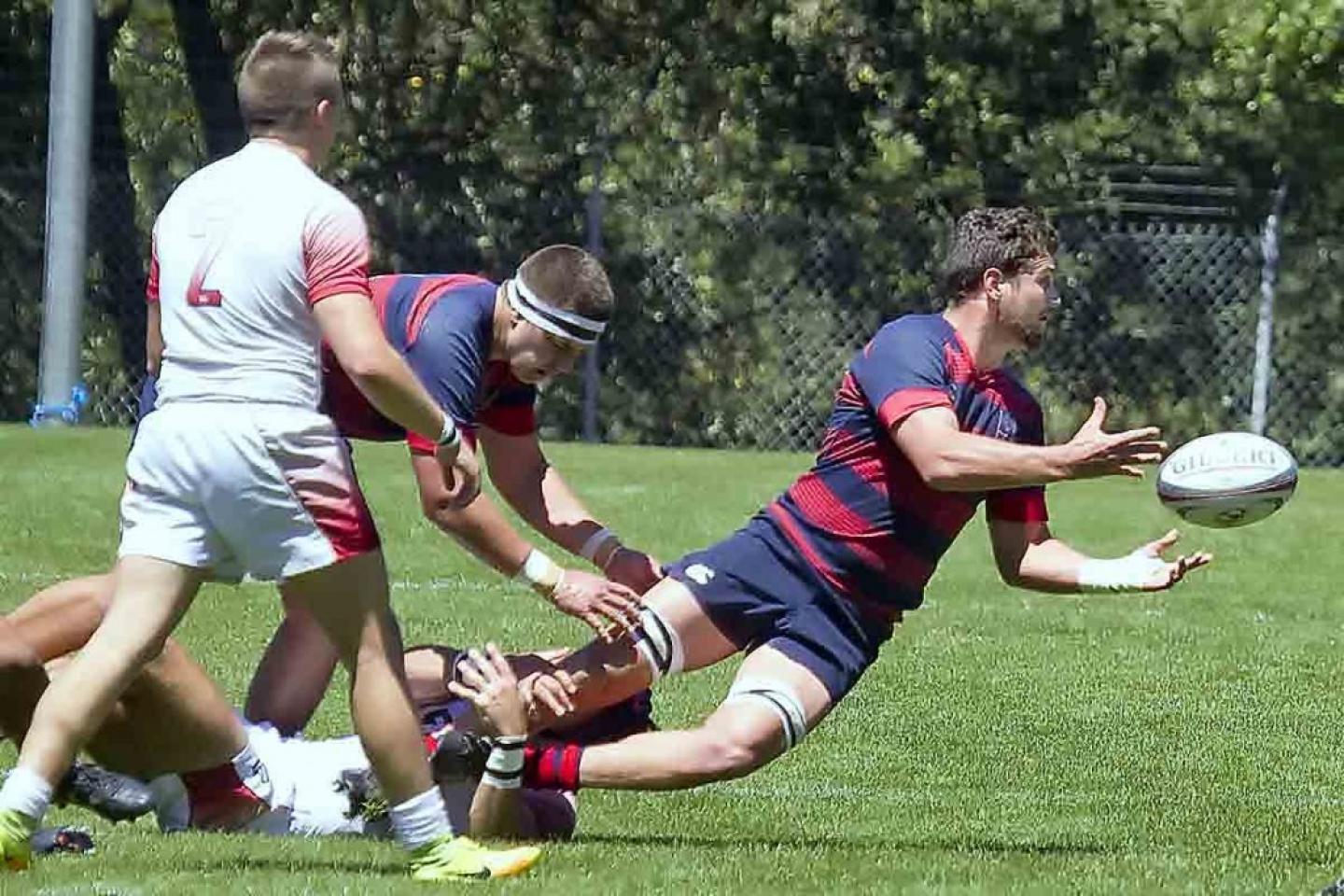 smc v arizona 2017 geib 7