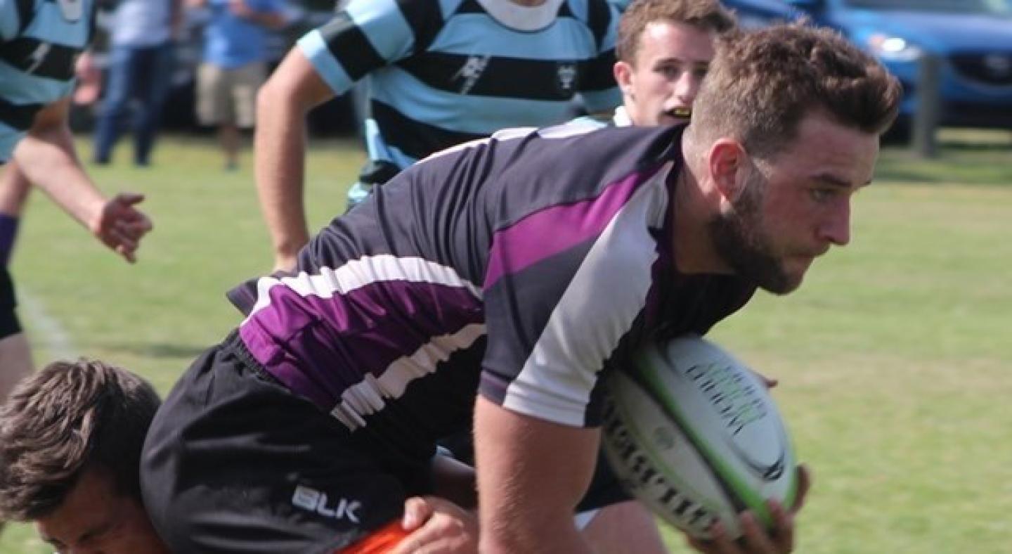 springhill dan campbell