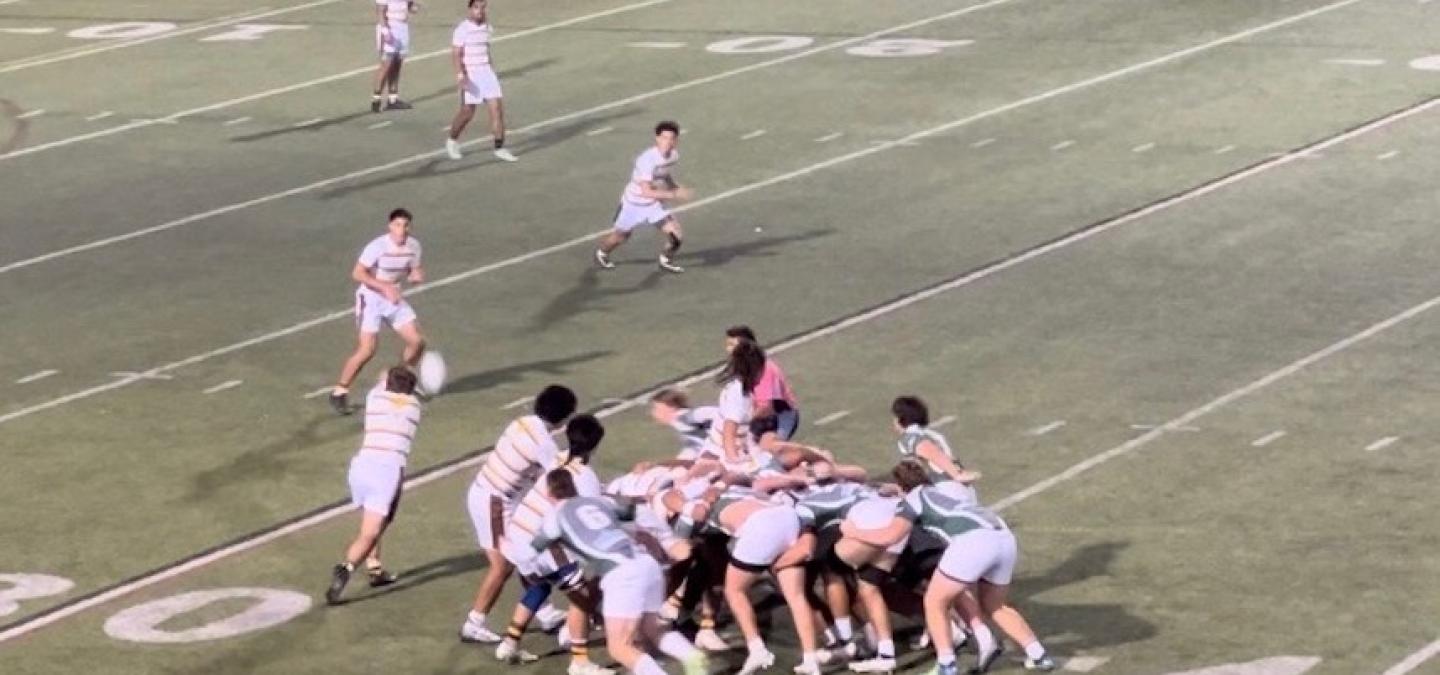 st francis v dls 2023 2