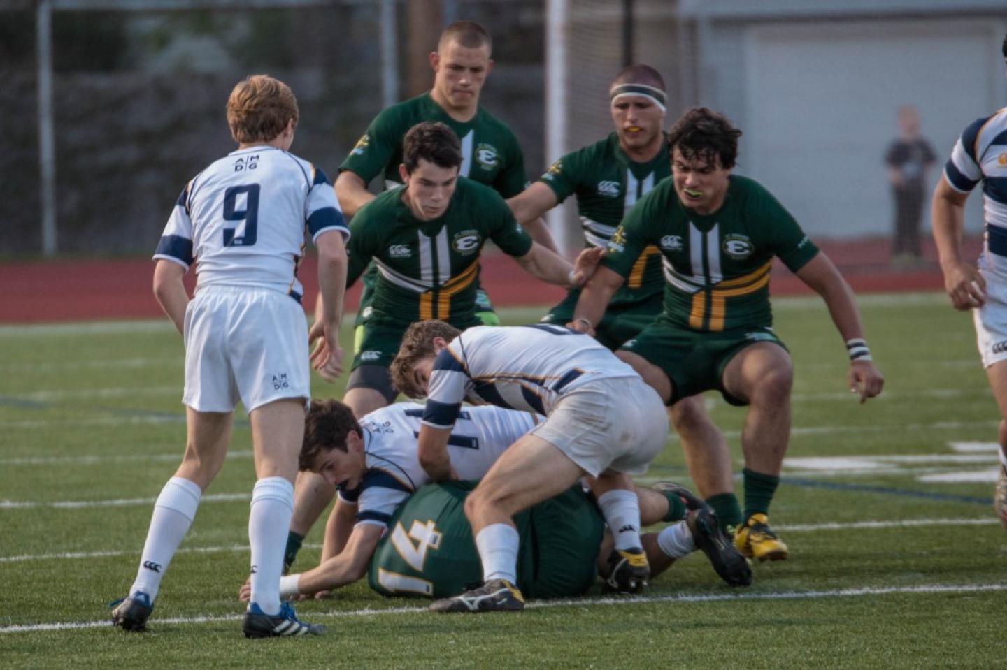 stedsvignatius may62015 allison bradfield 2