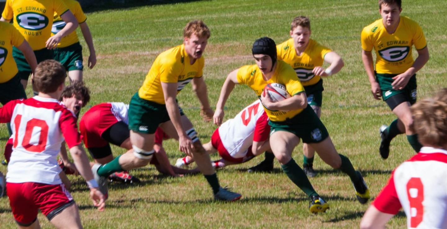 stedward ohio 2016 alison bradfield 2