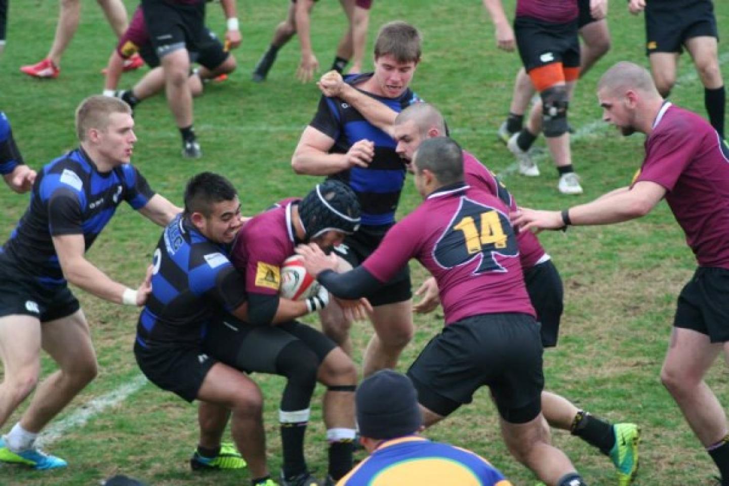 umd salisbury 2013 1