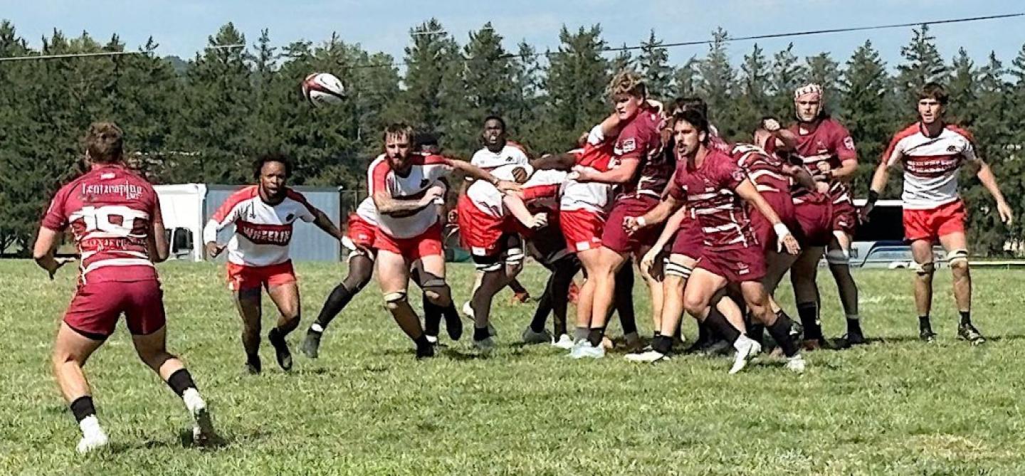 wheeling vs kutztown 2025 greg stelluti